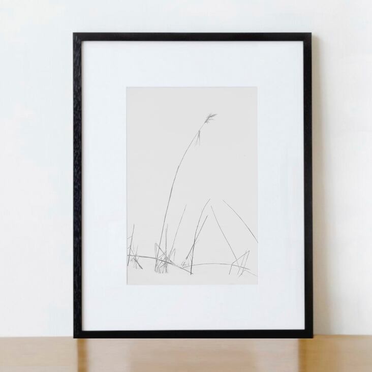 Tetsuya Morimoto Dry Tree #7(black wooden frame 61cm×91cm付き)