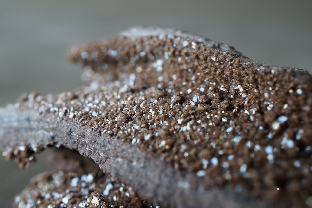 ドイツ産珪化木/クォーツ　Petrified Wood / Quartz　898