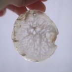 Snow White 02 - アゲートヒーリングチャイム / Agate Sun Catcher Wind Chime 237