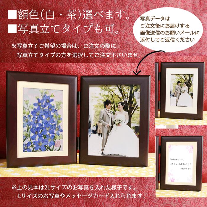 ずっと咲く。この想い』デルフィニウム (花言葉：幸福をふりまく
