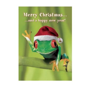 ドイツ製カエルのクリスマスカード/クリスマスポストカード送料220円〜　C0pernicus