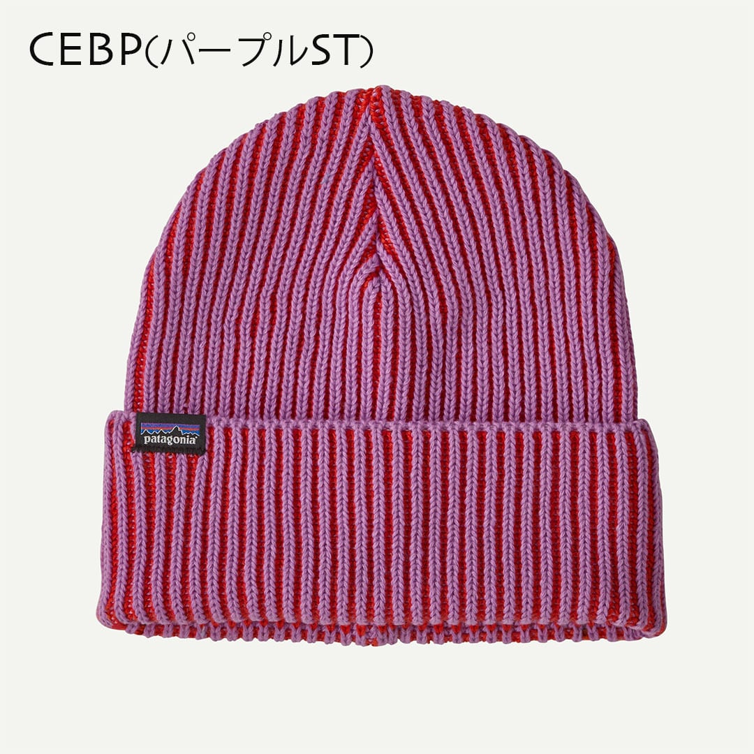 Patagonia [パタゴニア正規代理店] Fishermans Rolled Beanie [29105