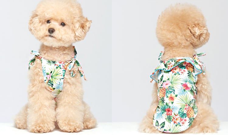 【SALE】ハワイフリル水着ＵＶカット S ~ XL 3color / 犬服 犬の服 犬 ドッグウェア 小型犬 中型犬 ペット洋服