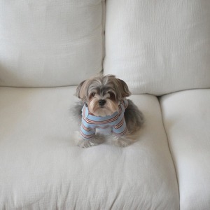 【予約】[ togethering ] Multi Striped T-Shirt｜Sky Blue