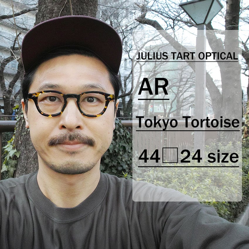 JULIUS TART OPTICAL / AR / ブリッジ 24mm / TOKYO TORTOISE