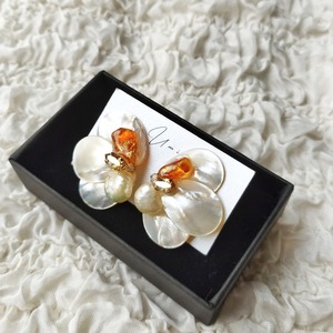 Wing / pierce or earrings