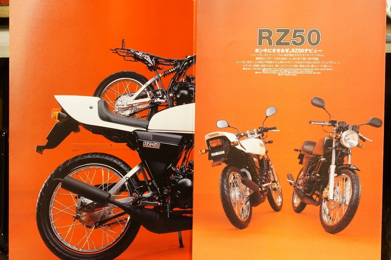 RZ50 カタログ | Pay ID