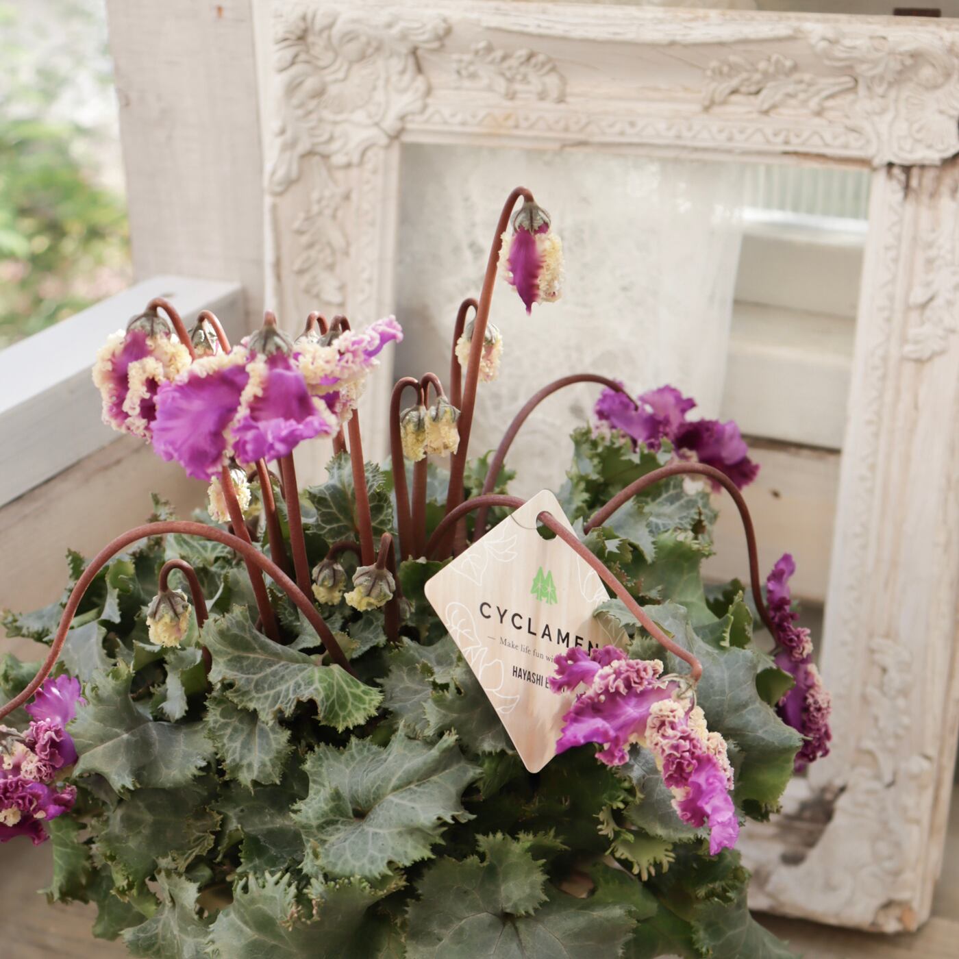 Green heartꕥオンラインショップ