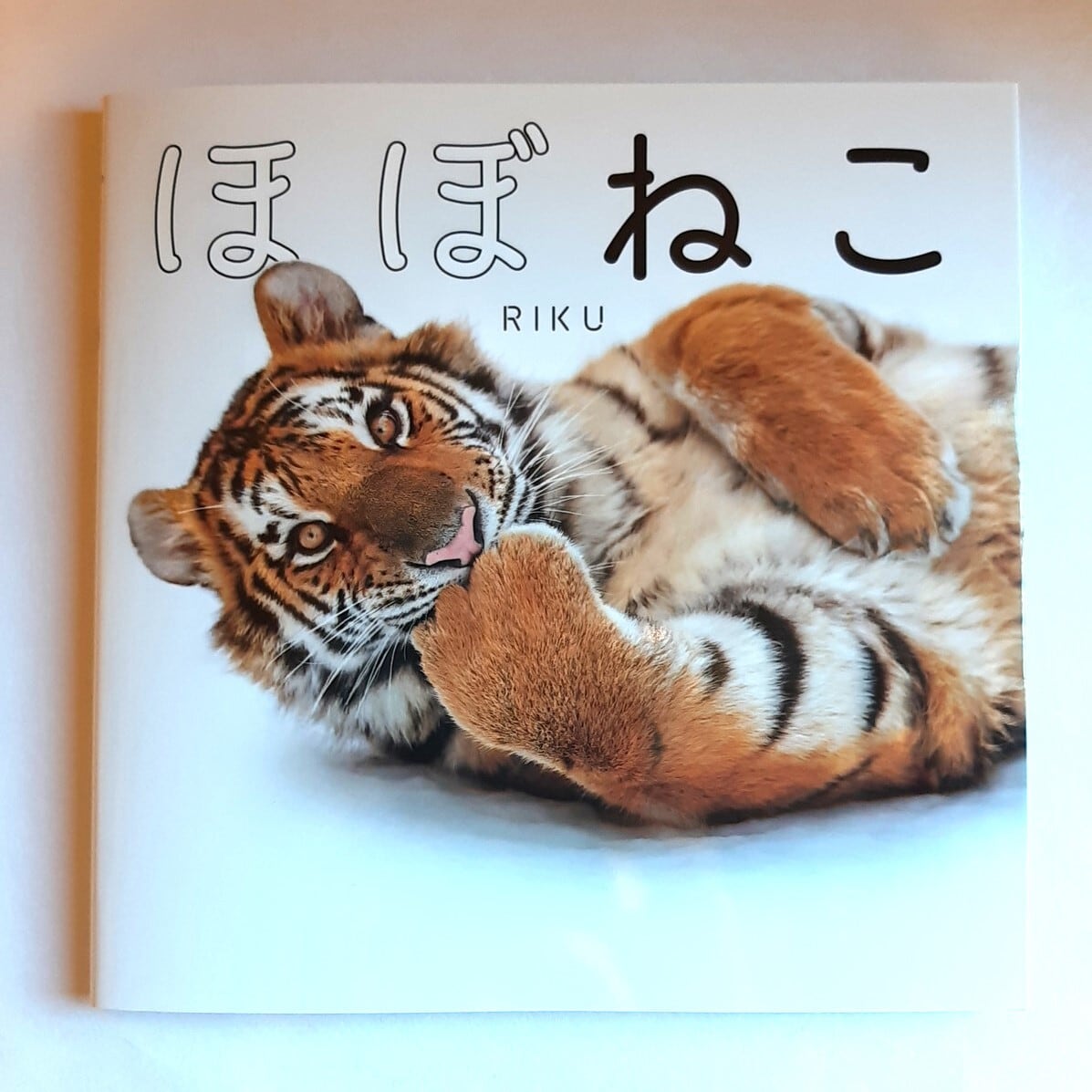 ほぼねこ | ねこのみち
