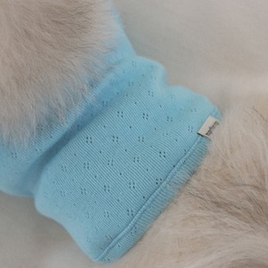 【予約】[ togethering ] Eyelet Crop T-Shirt｜Sky Blue