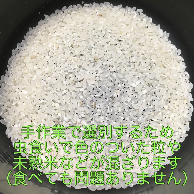 白米5kg お日さまを味わうお米 いずみ農縁便 白米5kg お日さまを味わうお米 いずみ農縁便