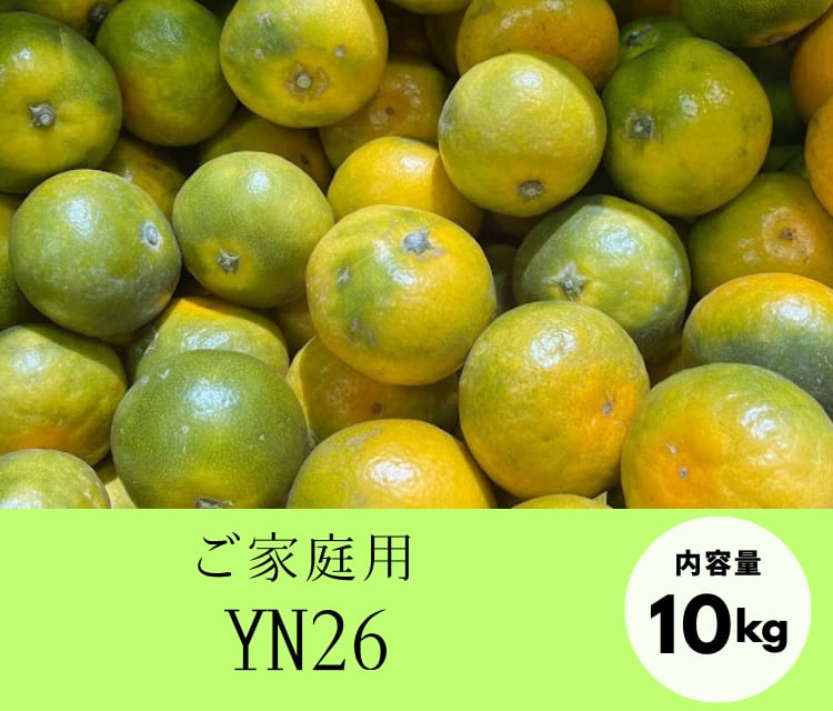 【ご家庭用】YN26・10kg