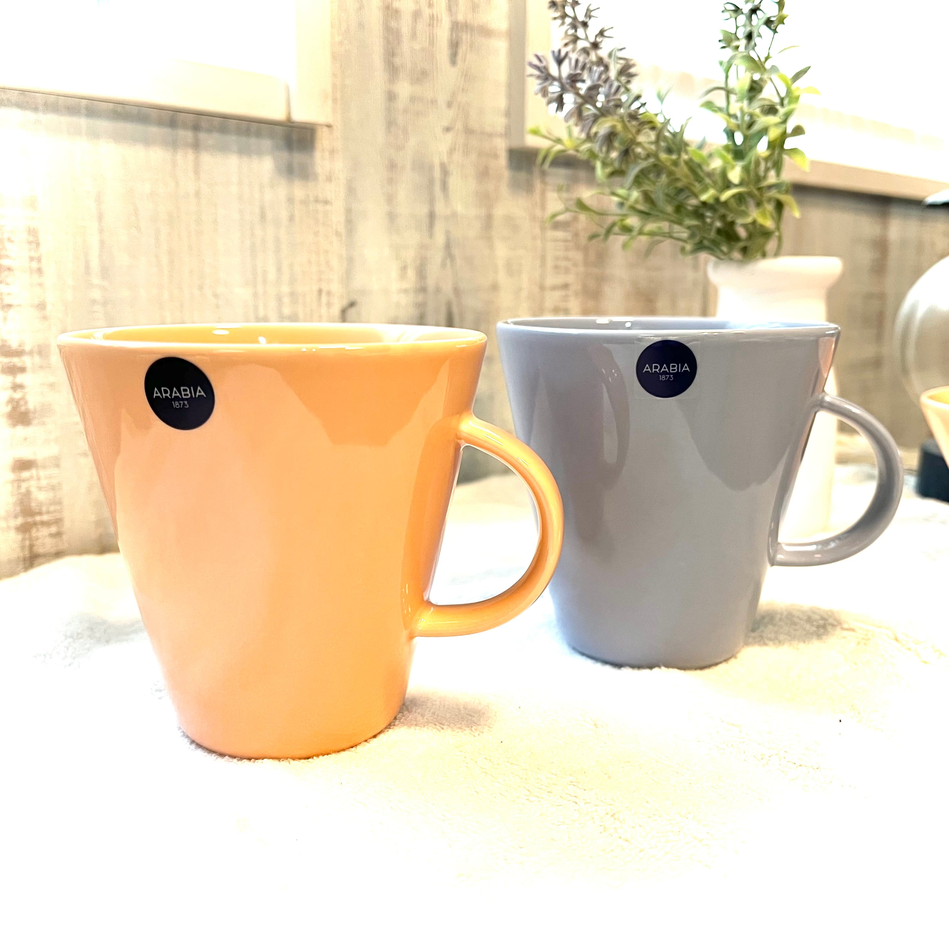 ARABIA アラビア koko カンタロープ マグカップ＆ボウルセット