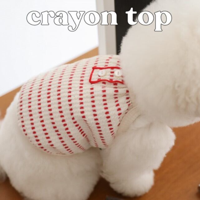 S.XL/即納【SSFW】Crayon Top《Red》