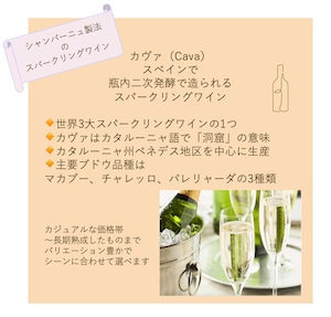 【サバルデス】 カバ・ブリュット・ナチュレ・グラン・リゼルヴァ 2020