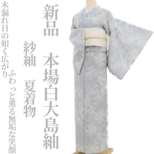 M-0083 夏着物 恥ずかし 11点 単衣着物まとめ売り 絽 紗 麻 夏 M-0083 夏着物 恥ずかし 11点 単衣着物まとめ売り 絽 紗 麻 夏