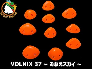 VOLNIX37 ~おねえスカイ~