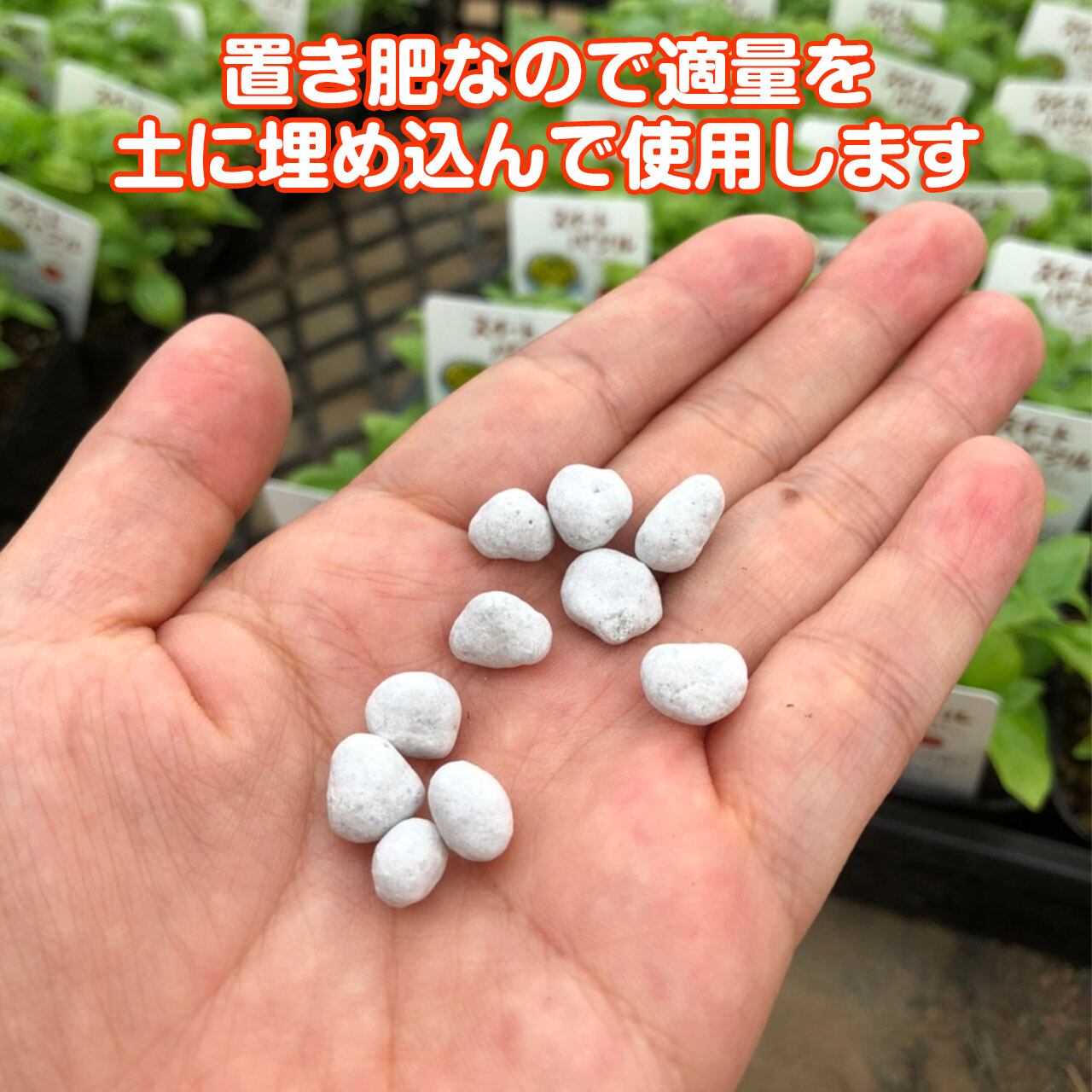 ハーブ 肥料 | ハーブ苗のポタジェガーデン 本店