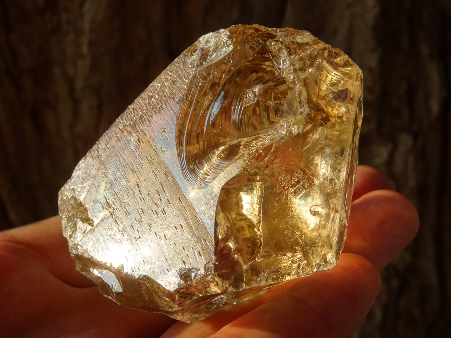 オールドマスターレムリアンシトリン(トライゴーニック) ~The Prince Citrine of Lemuria~