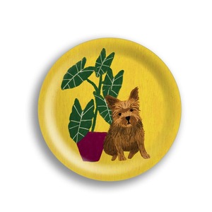 【avenidahome】 MINI TRY -yorki-