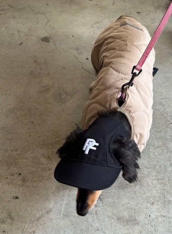 【PUFF】キルティングベスト