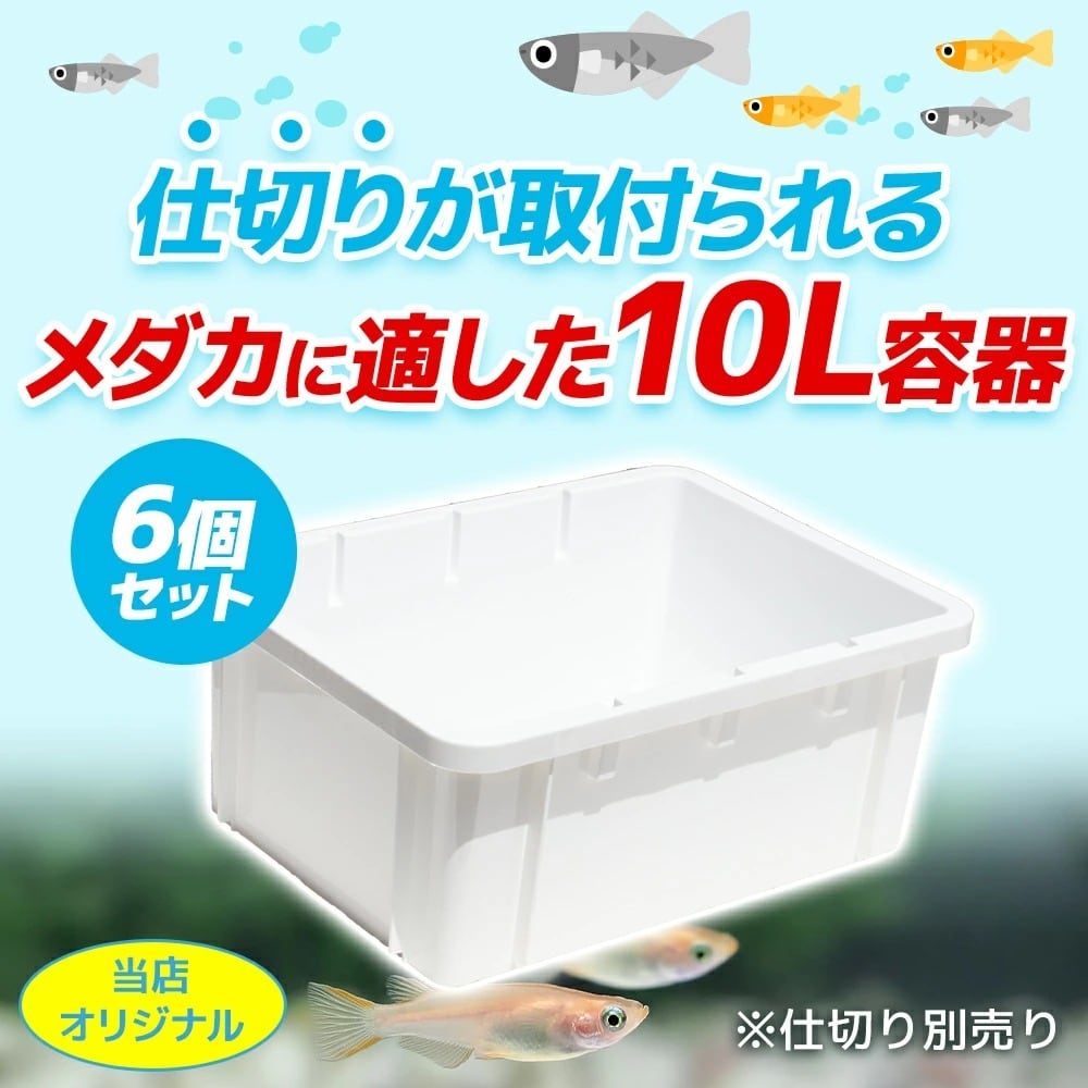 メダカ容器 10個 オーバーフロー