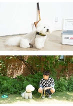 【PUPPYGALLERY公式】Vハーネス XL