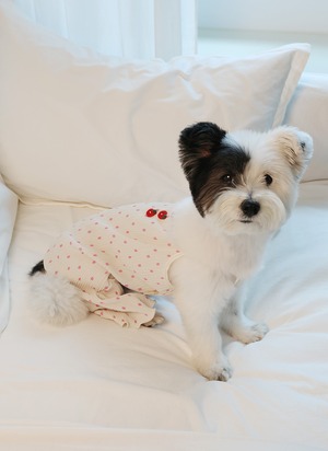 予約【noonoosoom】fruit button wrinkle all in one (PinkApple)