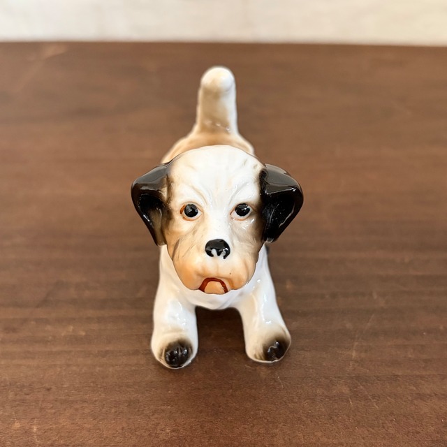 遊びたそうな犬