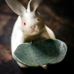 【'23秋】【ハロウィン】Rabbit うさぎ かぼちゃグリーン