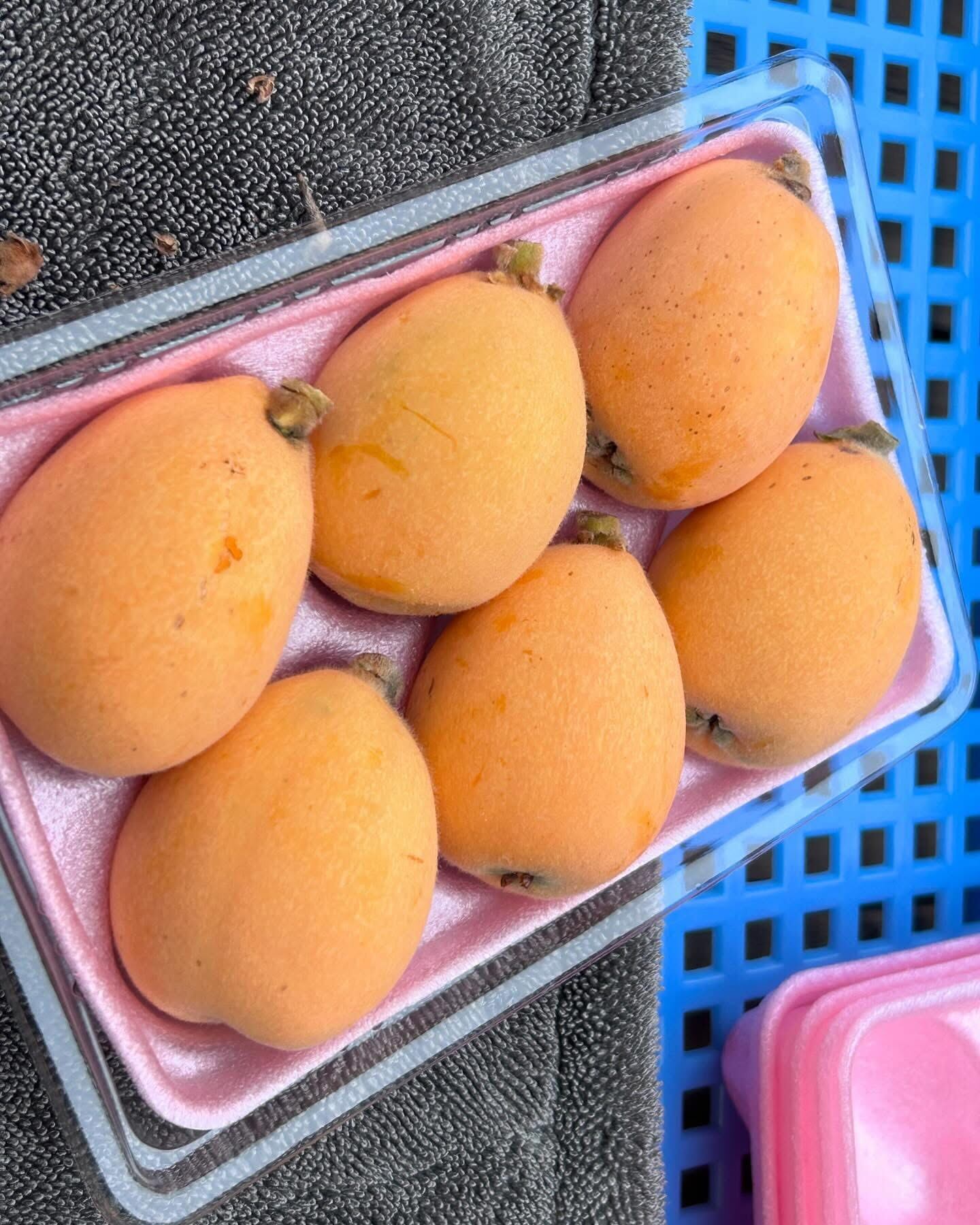 原田果樹農園