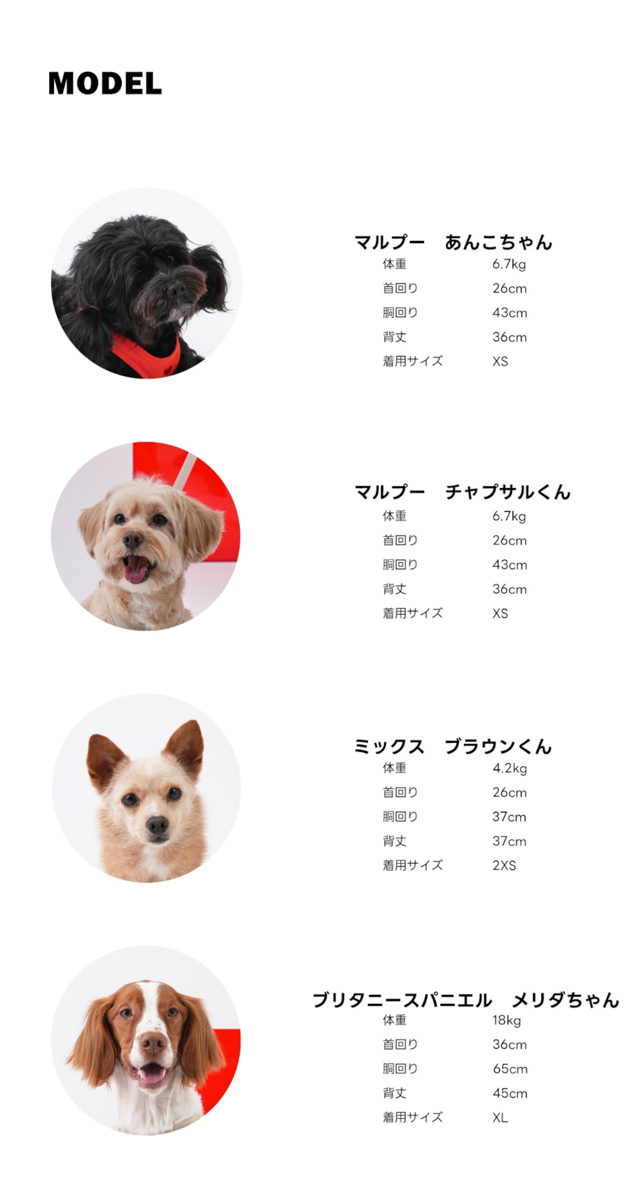 【PUPPYGALLERY公式】オールウェザー防水ハートハーネス L/XL