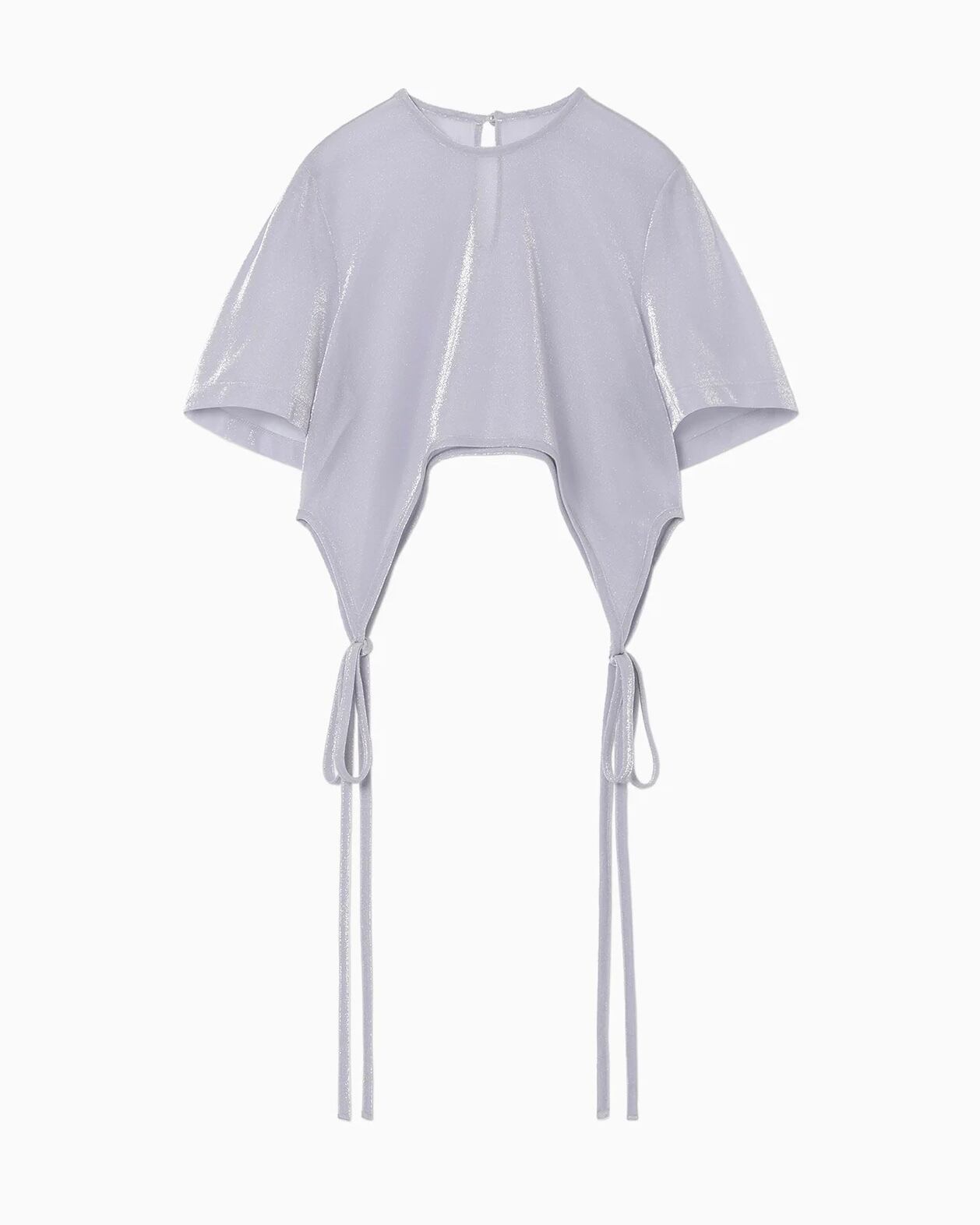 mame Lamé Jersey High Neck Sheer Top