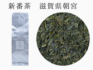 日常のお茶に【新番茶】滋賀県朝宮産