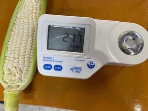 淡路島玉ねぎ(5kg)と淡路島ホワイトコーン(4.5kg)のセット
