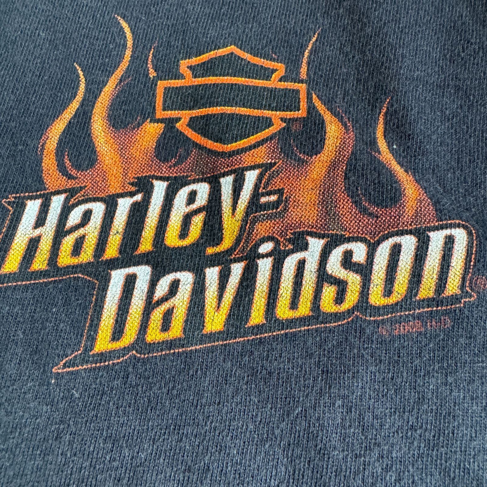 Harley-Davidson 長袖カットソー ロンT 袖プリ90s 00s 00s 【ハーレーダビッドソン】 ロンT 袖プリント ラスベガス