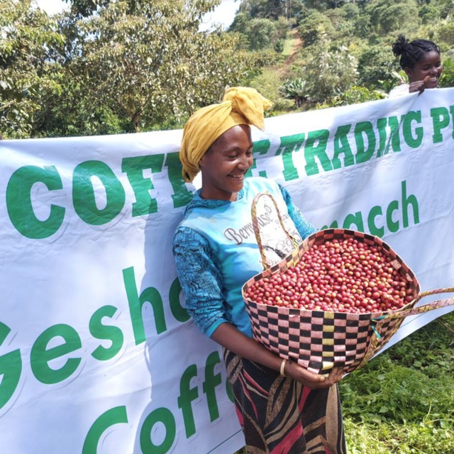 Ethiopia Geisha Jasmine G1 Natural 【 中浅煎りー200g 】