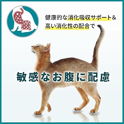 ピュリナ ワン キャット ドライ 敏感なお腹と皮膚の健康ケア サーモン