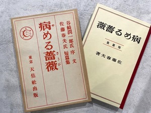 【HP025】病める薔薇  / second-hand book