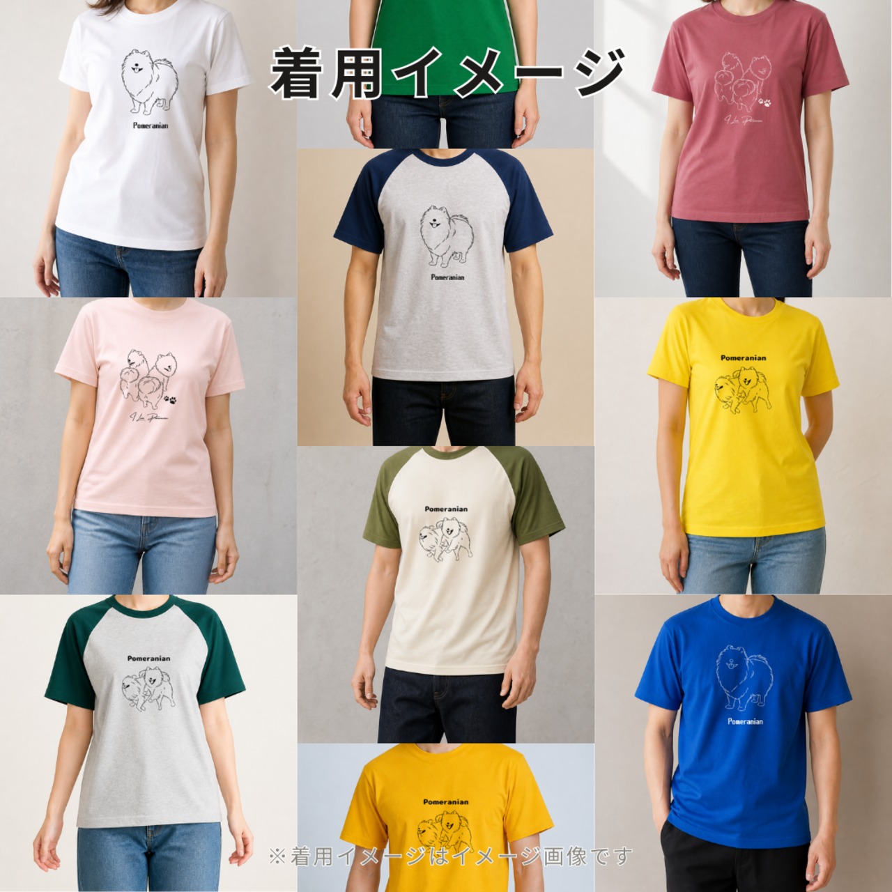 ポメラニアンシンプルTシャツ｜オリジナルイラスト 全29色 XS〜XL 綿100% 画像4
