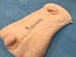 Wet Lab衛生臓器　豚皮膚モデル　標準サイズ （皮膚科学会・美容外科等採用）