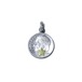 BW Roosevelt Dime Coin Pendant Top-Star
