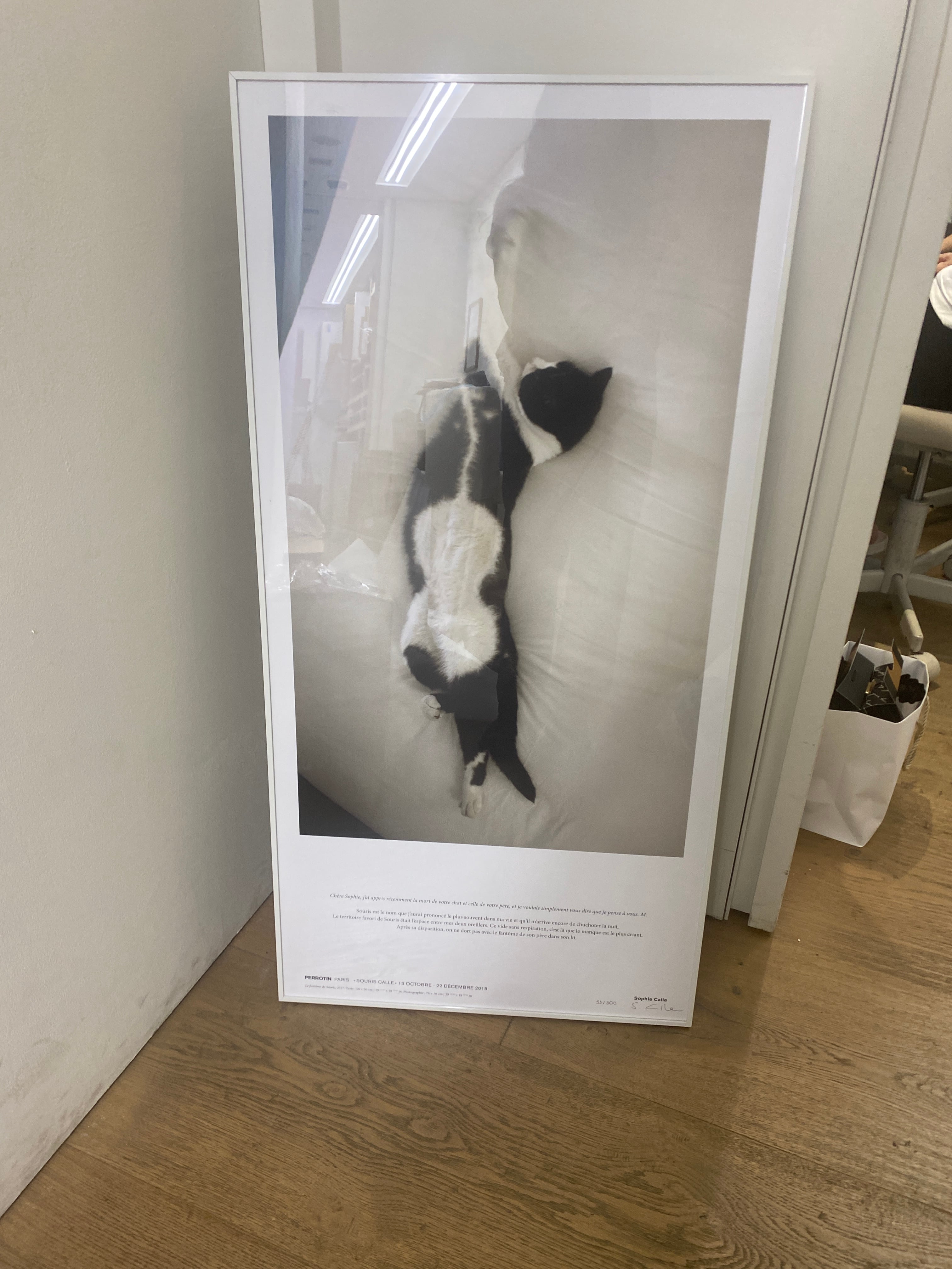 Sophie Calle - Souris Calle 額、サイン、ナンバー付 6367f09c42379fa525eb1263cf6822