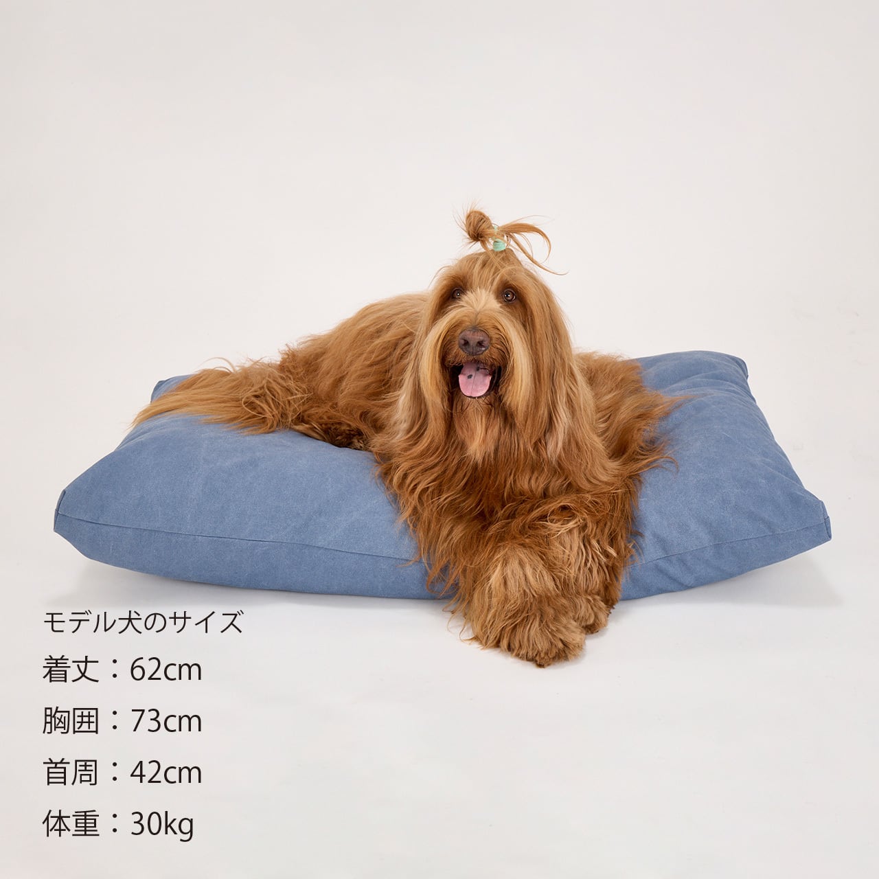 新品】COZY PET ペット用ベッド グレー 直径56.7cm ペットベッド