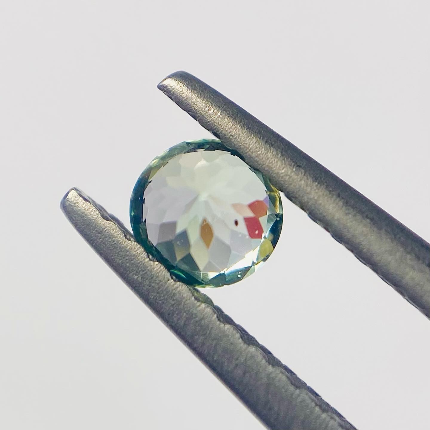 春の光キラキラ　コーネルピン