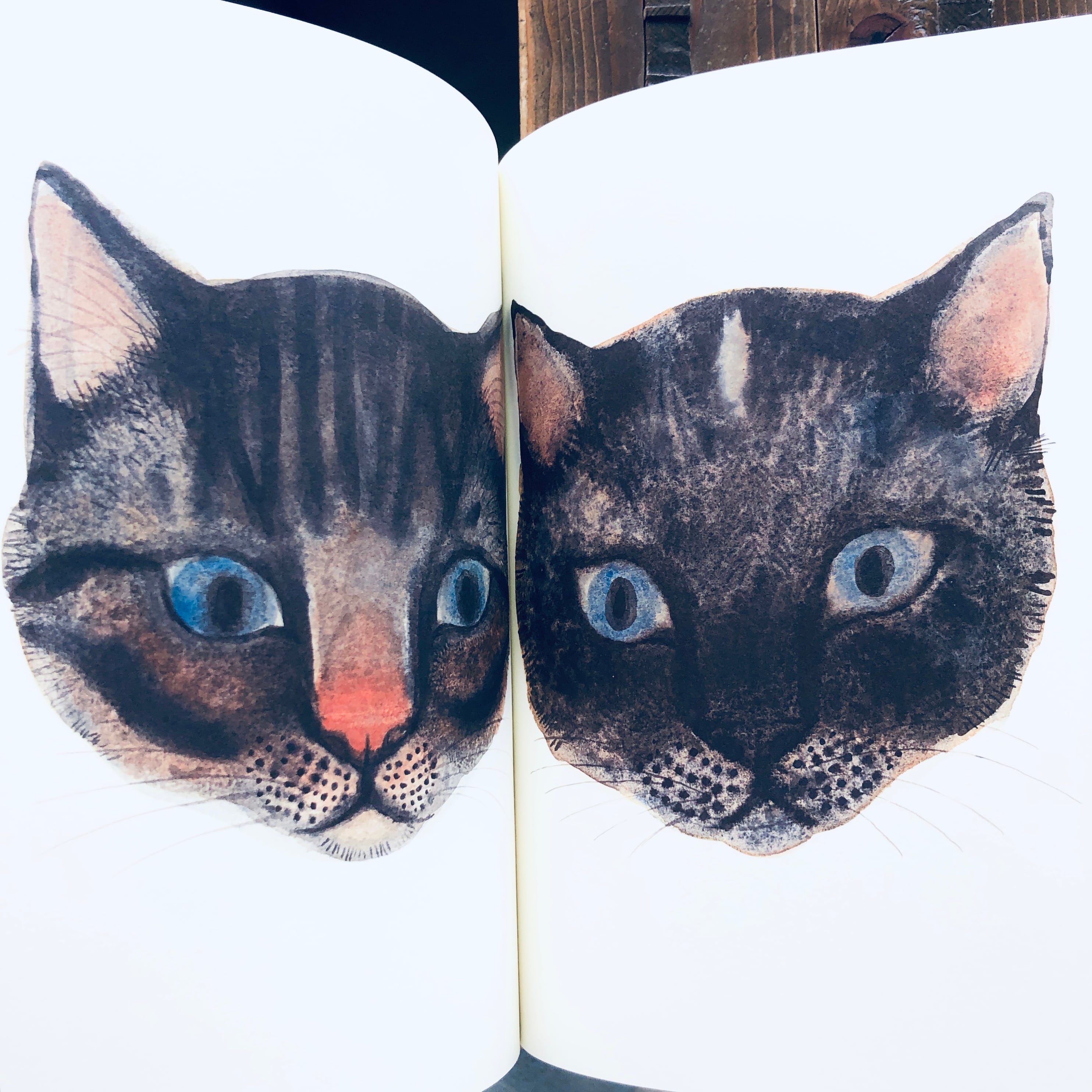 出久根育作品集