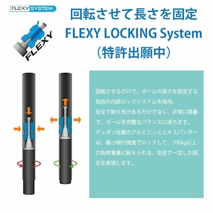 FIZAN フィザン 軽量 可変3段 トレッキングポール59-132cm COMPACT Black コンパクトブラック