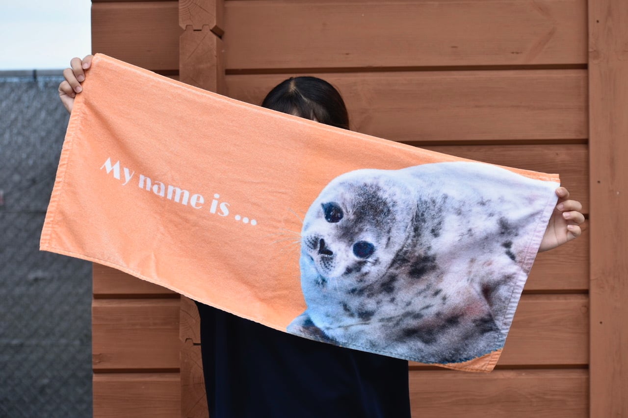 【美品】BABYL+shibori　コラボセットアップ上下＋おまけ付 タイニークローゼット ジップパーカーコレクション【コトブキヤ