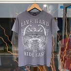 【Sz:? M程】00s HARLEY DAVIDSON CAFA Tシャツ