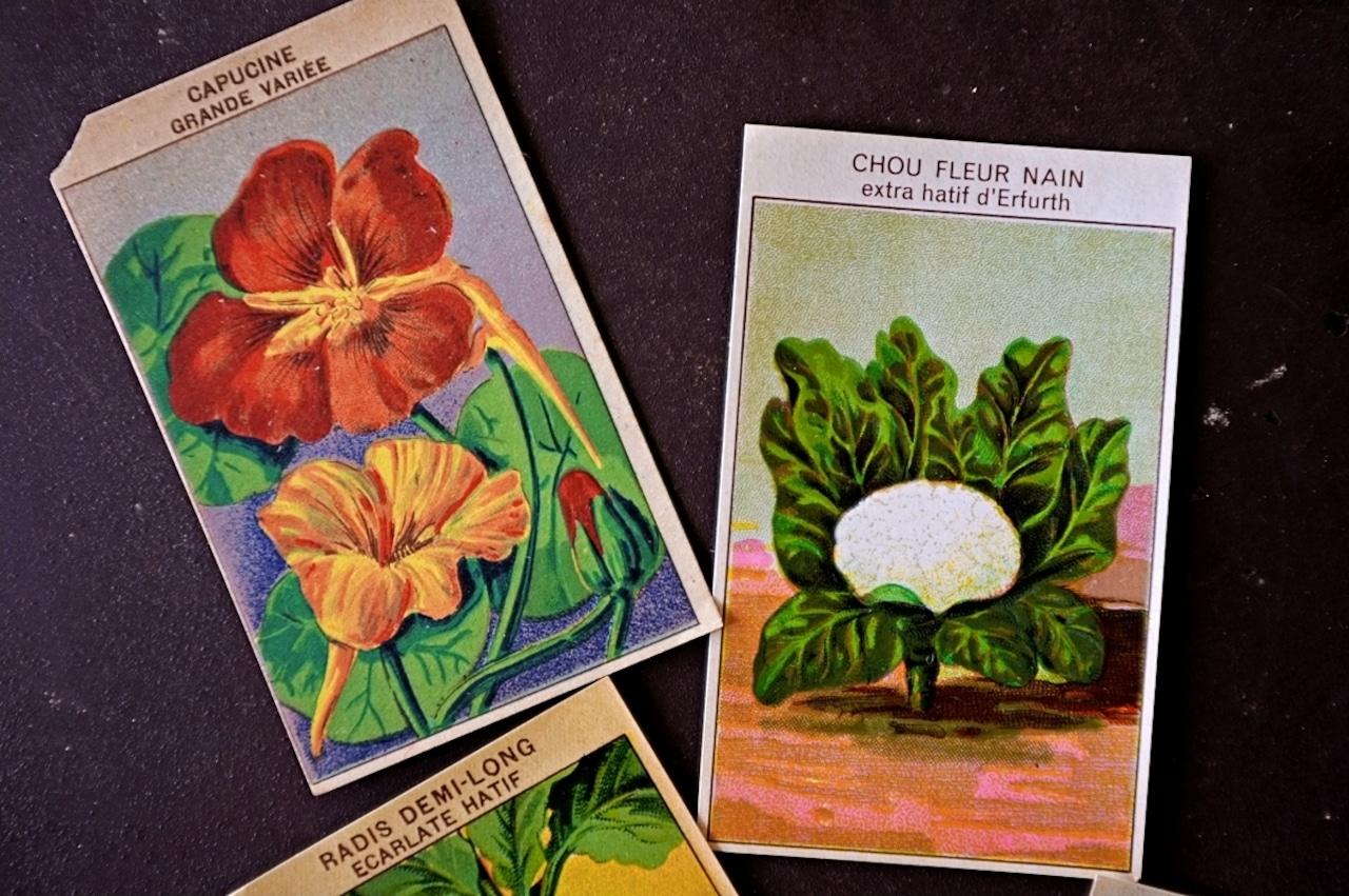 20s フランス 4set 膨満な花々と野菜たち 種子袋用ラベルa アンティーク